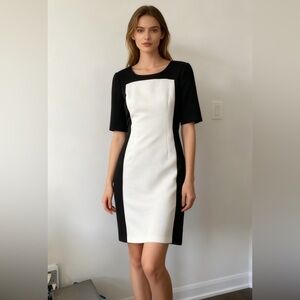 Club Monaco short sleeves lined dress size4